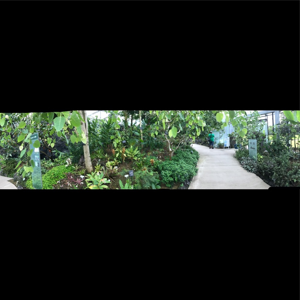 Meet your Posher, Leilah